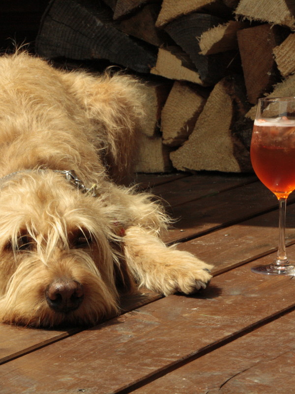 auch-hunde-sind-bei-herzlich-willkommen-im-almbad-huberspitz-foto-almbadde-600x800