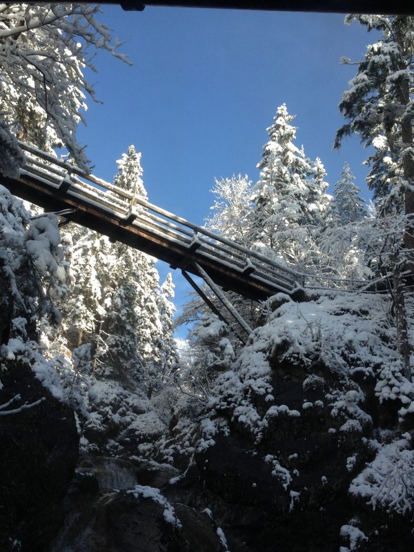die-bruecke-des-wendelstein-maennlein-wegs-durch-bayrischzell-mit-blick-zum-dorfbad-tannermuehl-foto-almbadde-600x800