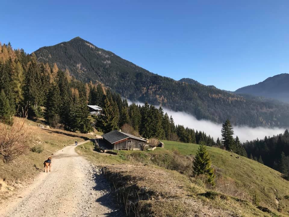 46492215_2425885624092668_4077932346446184448_n